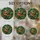 duiyfppz/products/6a7029147d0168fca0d843a2/gallery/LkeAo0XU3h