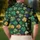 duiyfppz/products/6a702a7104717d50b2a79dc3/gallery/BVH5Thf-ll