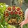 duiyfppz/products/6a702b646a9ad57935fe1127/gallery/37EfRMtS63
