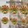 duiyfppz/products/6a702b646a9ad57935fe1127/gallery/zuBjWZT0MS