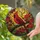 duiyfppz/products/6a702bc94a2b2d7501a7d581/gallery/FzcCu-3hQ-