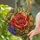 duiyfppz/products/6a702be86a9ad52b2ffe123f/gallery/WgpxGSiS3S