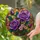 duiyfppz/products/6a702bf704717d1145a7a1e5/gallery/3QcRMXfJeD