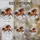 duiyfppz/products/6a702d6081ace23d00a06b11/gallery/CqRTR5JoCW