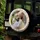 Personalized Pet Portrait Spare Tire Cover – Custom Dog & Cat Gift for Jeep & Truck Owners - 4