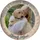 Personalized Pet Portrait Spare Tire Cover – Custom Dog & Cat Gift for Jeep & Truck Owners - 5