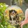 Custom Dog Portrait Stained Glass Suncatcher, Personalized  Pet Memorial Cat Loss Keepsake, Pet Loss Gift - 5