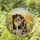 Custom Dog Portrait Stained Glass Suncatcher, Personalized  Pet Memorial Cat Loss Keepsake, Pet Loss Gift - 1