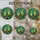 duiyfppz/products/6a71682a8e431bb30172491e/gallery/4xSW_uv7BE
