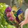 duiyfppz/products/6a71683f47d60318409945a2/gallery/N84d5xaklR