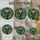 duiyfppz/products/6a71684ee5d363110b3450cf/gallery/9_tLuhb3Zd