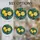 duiyfppz/products/6a71691047d603863d9956c8/gallery/Bj4jtNhNDi