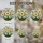 duiyfppz/products/6a716956ef94a81084a6389b/gallery/SMtXaU8k98
