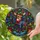 duiyfppz/products/6a7169ad942aa258ee6401b8/gallery/hIiJb7CH6q