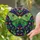 duiyfppz/products/6a716ad34f533ba77619ed98/gallery/PTrgu_ruCL