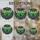duiyfppz/products/6a716ad34f533ba77619ed98/gallery/hXbsRdMZ_X