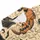 duiyfppz/products/6a716c0fe5d363369834d387/gallery/EevgtLLL-1