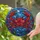 duiyfppz/products/6a716c9947d6038bb399bbb8/gallery/TOZLO_nmNS