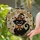 duiyfppz/products/6a716cf4cfb86a3204a79334/gallery/4dXWcQcgf7