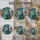 duiyfppz/products/6a716d926c981f31b053786c/gallery/VyvYRwU_v_