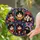 duiyfppz/products/6a716fec6c981ff6b6539a9d/gallery/BXP17teraJ