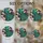 duiyfppz/products/6a717067f1f58efee2f10764/gallery/YHxfDz3YMY