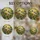 duiyfppz/products/6a71707be49c2bdb80f7bbd9/gallery/wgMa_Vntzv