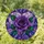 duiyfppz/products/6a71709bc8151cb6833cf274/gallery/97LJpUc8r8