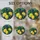 duiyfppz/products/6a7170ec942aa2e4a564e109/gallery/sQPzqAJQki