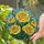 duiyfppz/products/6a7171224f533b89b11a7c70/gallery/CmLDjpyKzO