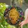 duiyfppz/products/6a71714347d603d31f9a7eb1/gallery/wzcJdfiqCw