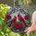 duiyfppz/products/6a717158ef94a85ceea7223a/gallery/-s12l6IOWE