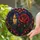 duiyfppz/products/6a71717d0280b20022d72143/gallery/7lmgaA8-JZ