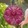 duiyfppz/products/6a71718d0280b2d797d72179/gallery/hRqYZWilvr