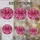 duiyfppz/products/6a71718d0280b2d797d72179/gallery/zECNLzc16g
