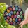 duiyfppz/products/6a7171a10280b23a8cd721a7/gallery/7quWu_FhbG