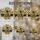 duiyfppz/products/6a7171b8c8151c8acc3d22fd/gallery/965Z_YhAV_