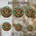 Highland Cow Stained Glass Clover Window Decor for St Patrick's Day Animal Lovers Stained Glass Suncatcher - 5