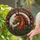 Christmas Horse Stained Glass Window Decor For Equestrian Holiday Home Display Gift Stained Glass Suncatcher - 2