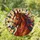 Chestnut Horse Stained Glass Decor for Equestrian Homes and Horse Lover Gift Giving Stained Glass Suncatcher - 1