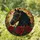 Black Horse Stained Glass Roses Gothic Equestrian Decor for Horse Lovers Home Gift Stained Glass Suncatcher - 1