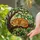 Sleeping Ginger Tabby Cat Stained Glass Window Decor for Cozy Cottage Home Lovers Stained Glass Suncatcher - 2
