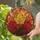 Stained Glass Maple Leaves And Pinecones For Warm Autumn Window Decor And Housewarming Gifts Stained Glass Suncatcher - 2