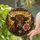 Longhorn Bull With Pink Roses For Western Farmhouse Windows And Ranch Housewarming Gifts Stained Glass Suncatcher - 2