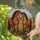 Paired Chestnut Horses Stained Glass Window Decor For Rustic Farmhouse Horse Lovers Stained Glass Suncatcher - 2