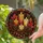 Autumn Candle Pine Cone Wreath For Thanksgiving Farmhouse Mantel And Entryway Decor Stained Glass Suncatcher - 2