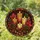 Autumn Candle Pine Cone Wreath For Thanksgiving Farmhouse Mantel And Entryway Decor Stained Glass Suncatcher - 1