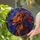 Vibrant Stained Glass Dachshund Window Decor for Dog Lovers and Housewarming Gifts Stained Glass Suncatcher - 2