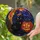 Black Cat Witch Hat And Jack O Lantern Halloween Home Decor Gift For Gothic Cat Lovers Stained Glass Suncatcher - 2