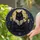 Black Cat Reading Book Stained Glass Window Hanging for Gothic Library Enthusiasts Stained Glass Suncatcher - 2